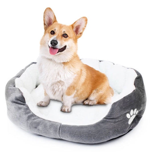 Dog Beds for Medium Sized Dogs Cats, Colorful Two-In-One Litter Bed Plush Pet Mattress, 24X22 Inch